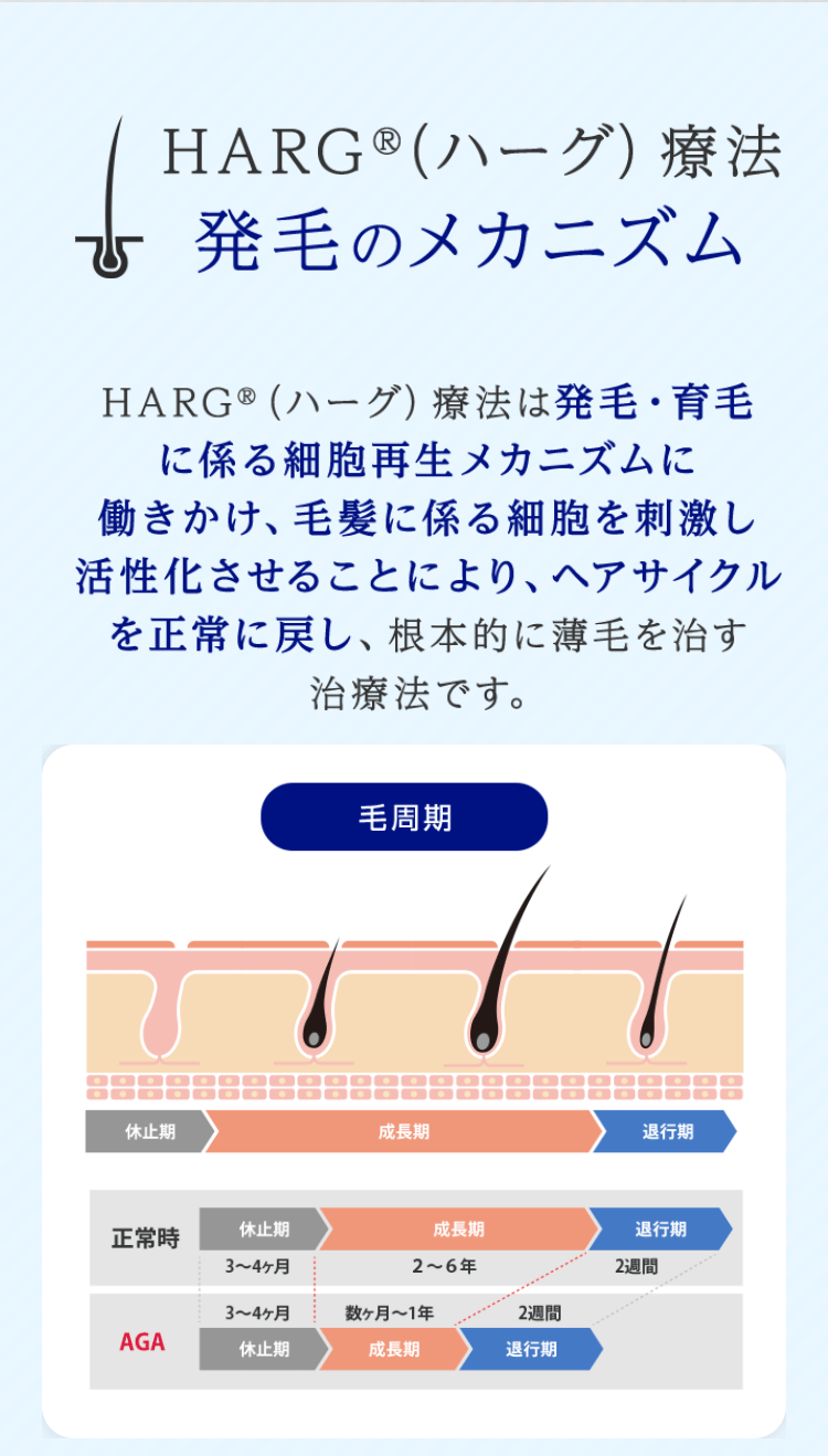 HARG®（ハーグ）療法　発毛のメカニズム